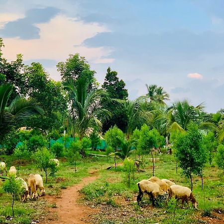 Eco Farm Villa บังกาลอร์ ภายนอก รูปภาพ