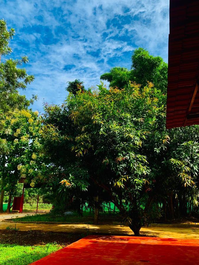 Eco Farm Villa บังกาลอร์ ภายนอก รูปภาพ