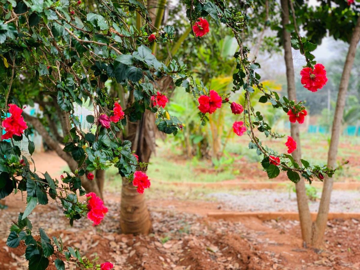 Eco Farm Villa บังกาลอร์ ภายนอก รูปภาพ