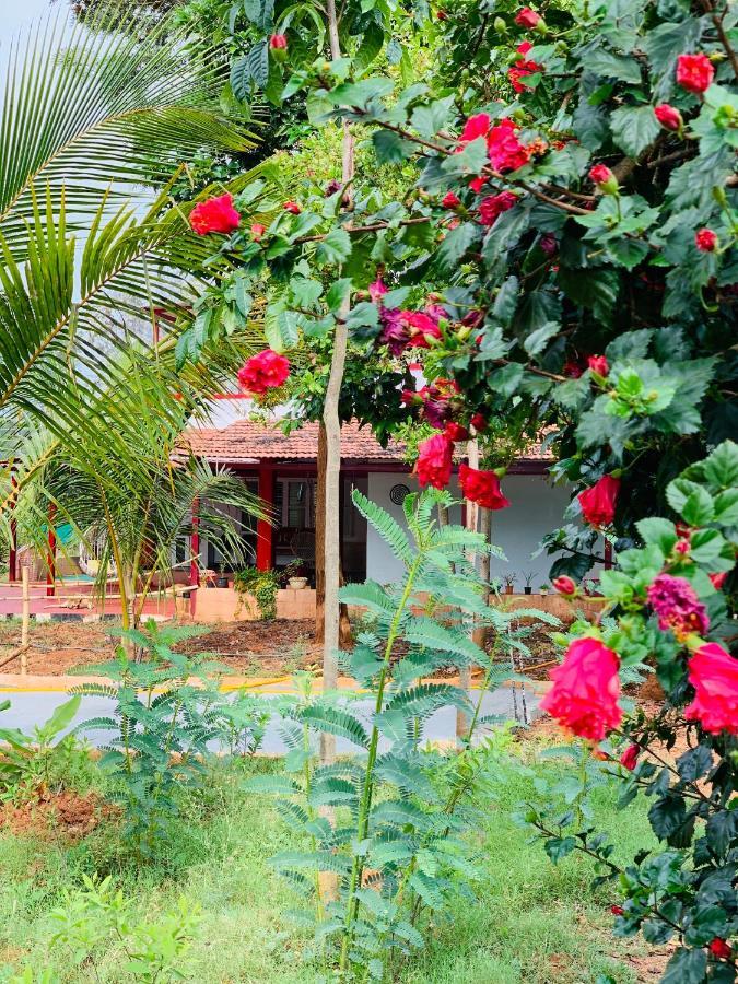 Eco Farm Villa บังกาลอร์ ภายนอก รูปภาพ