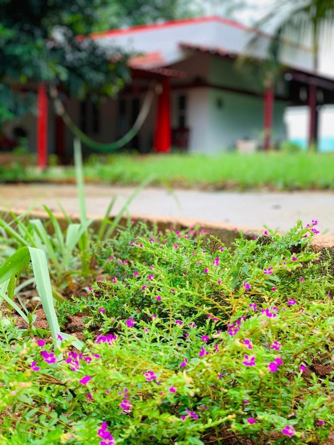 Eco Farm Villa บังกาลอร์ ภายนอก รูปภาพ